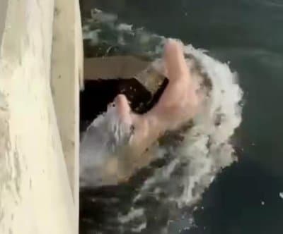 Thumbnail for Fresno Canal Doll Rescue: 911 Call Triggers Five-Alarm Blow-Up Confusion