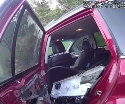 Thumbnail for Colorado Bear Transforms Parked Car Into $6,000 Avant-Garde Upholstery Exhibit