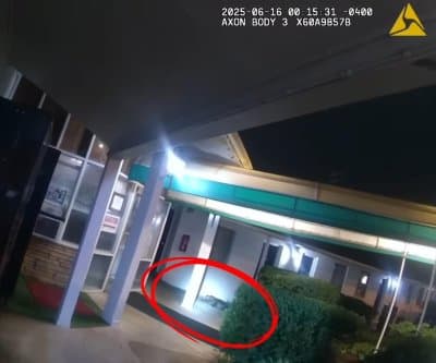 Thumbnail for 6-Foot Alligator Checks into Virginia Motel Room Uninvited