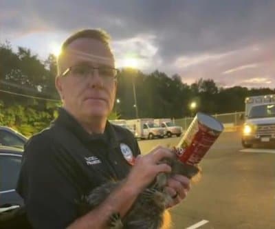 Thumbnail for Arkansas Paramedics Free Raccoon Campbell From Soup Can at 3AM Parking Lot