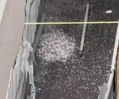 Thumbnail for Watch: Overturned Truck Spills 8 Million Dimes, Texas Highway Turns Into Spare Change Buffet