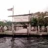 Thumbnail for Discovery Island’s Exotic Animals Vanish as Disney Oasis Sits Frozen Since 1999