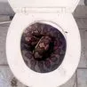 Thumbnail for Thai Python Bites Manâs Penis, 11-Foot Toilet Nightmare Unfolds Fast