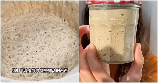 Thumbnail for Pet Yeast Craze Bubbles Up Among China's Youth